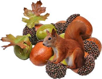 őszi állatok_175.png